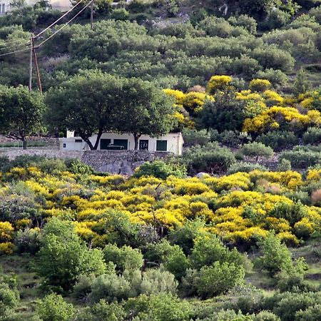 Villa " Davorka" Podgora Εξωτερικό φωτογραφία
