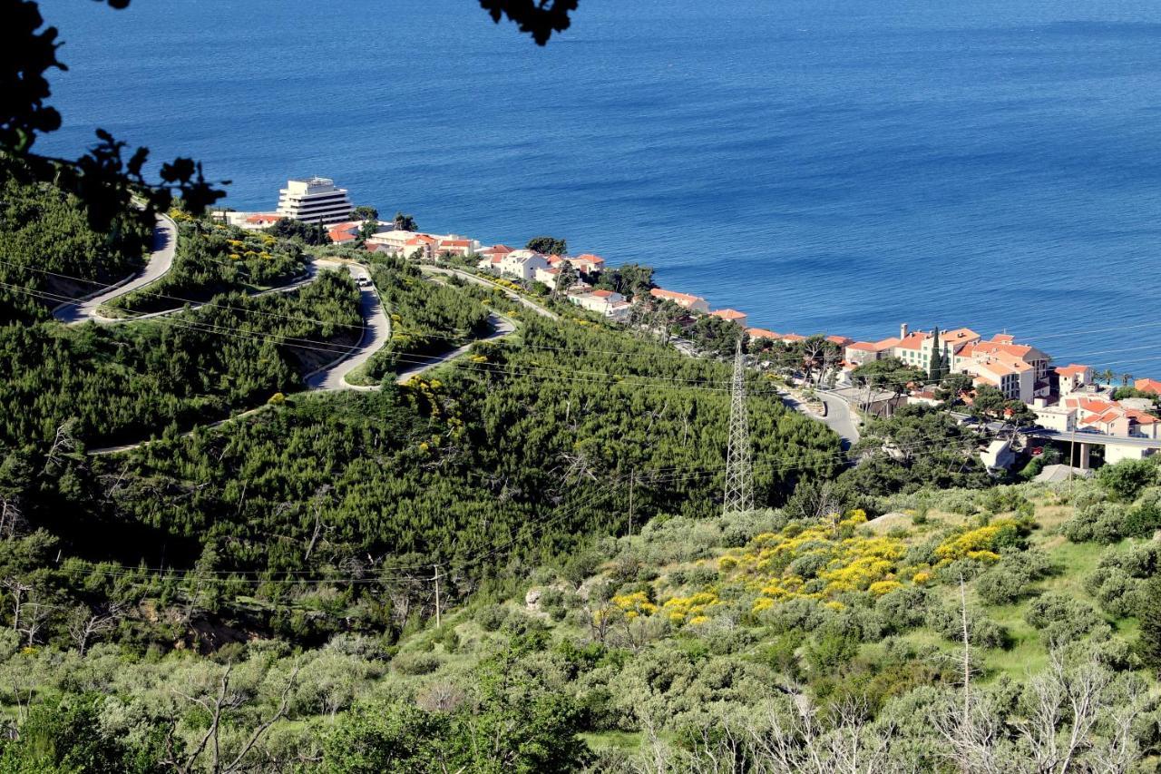 Villa " Davorka" Podgora Εξωτερικό φωτογραφία