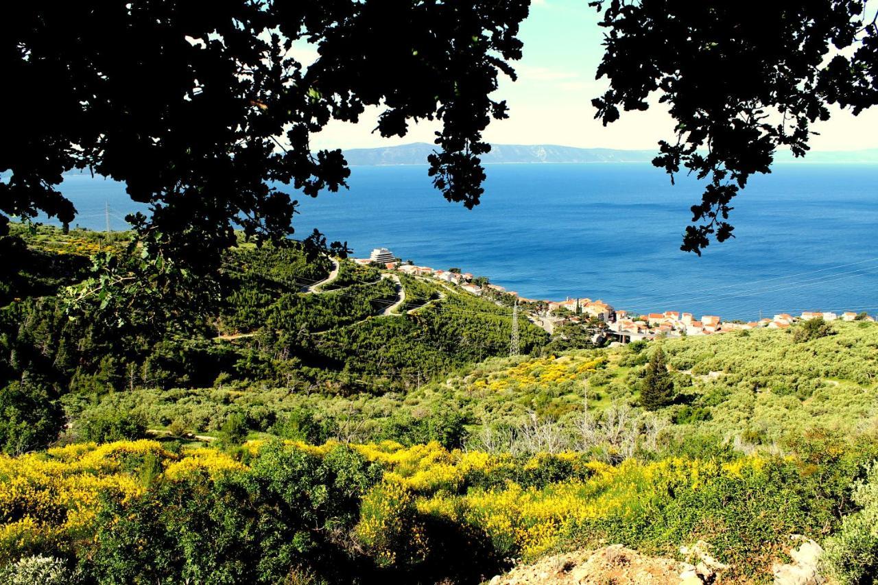 Villa " Davorka" Podgora Εξωτερικό φωτογραφία