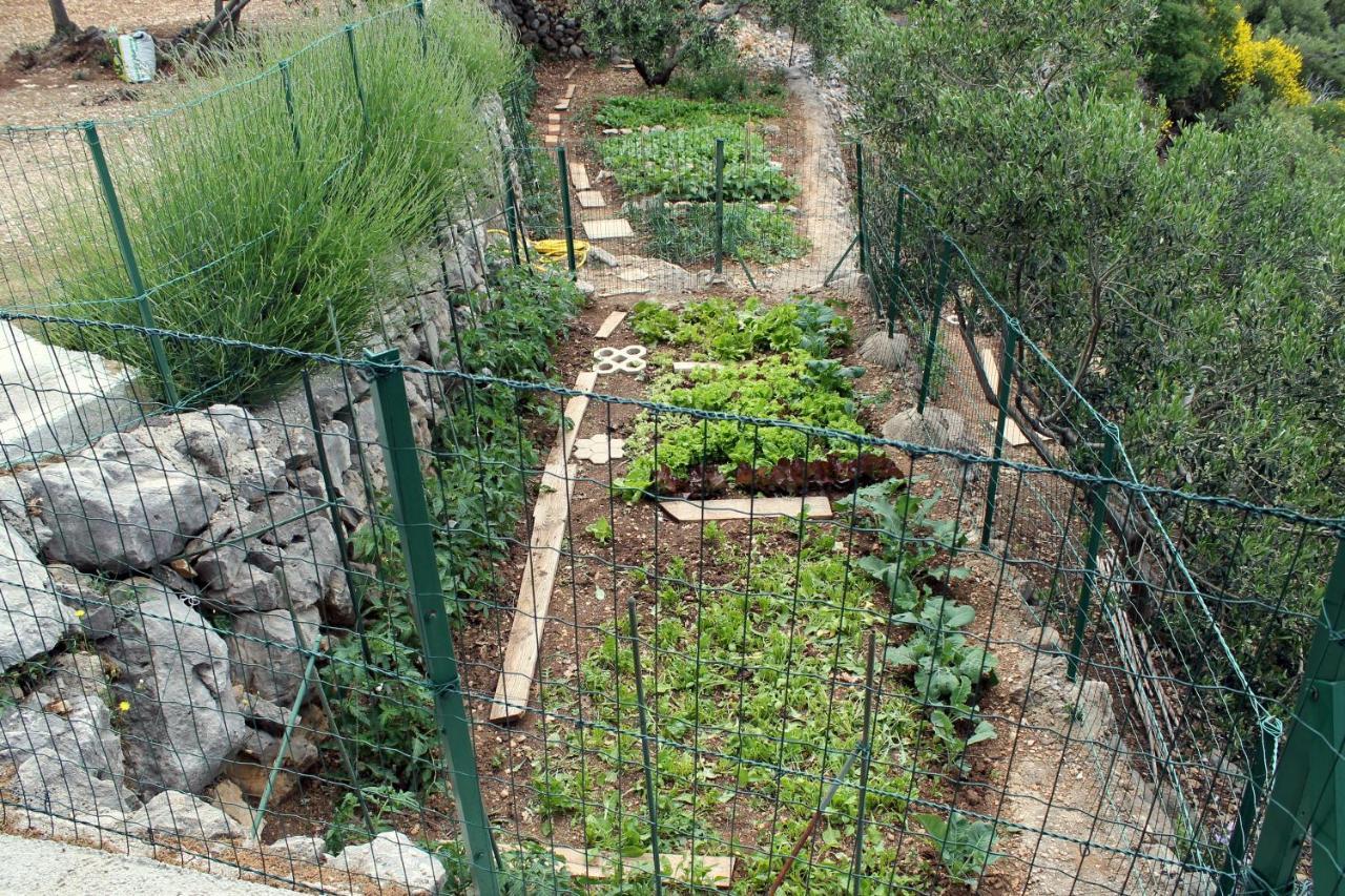 Villa " Davorka" Podgora Εξωτερικό φωτογραφία