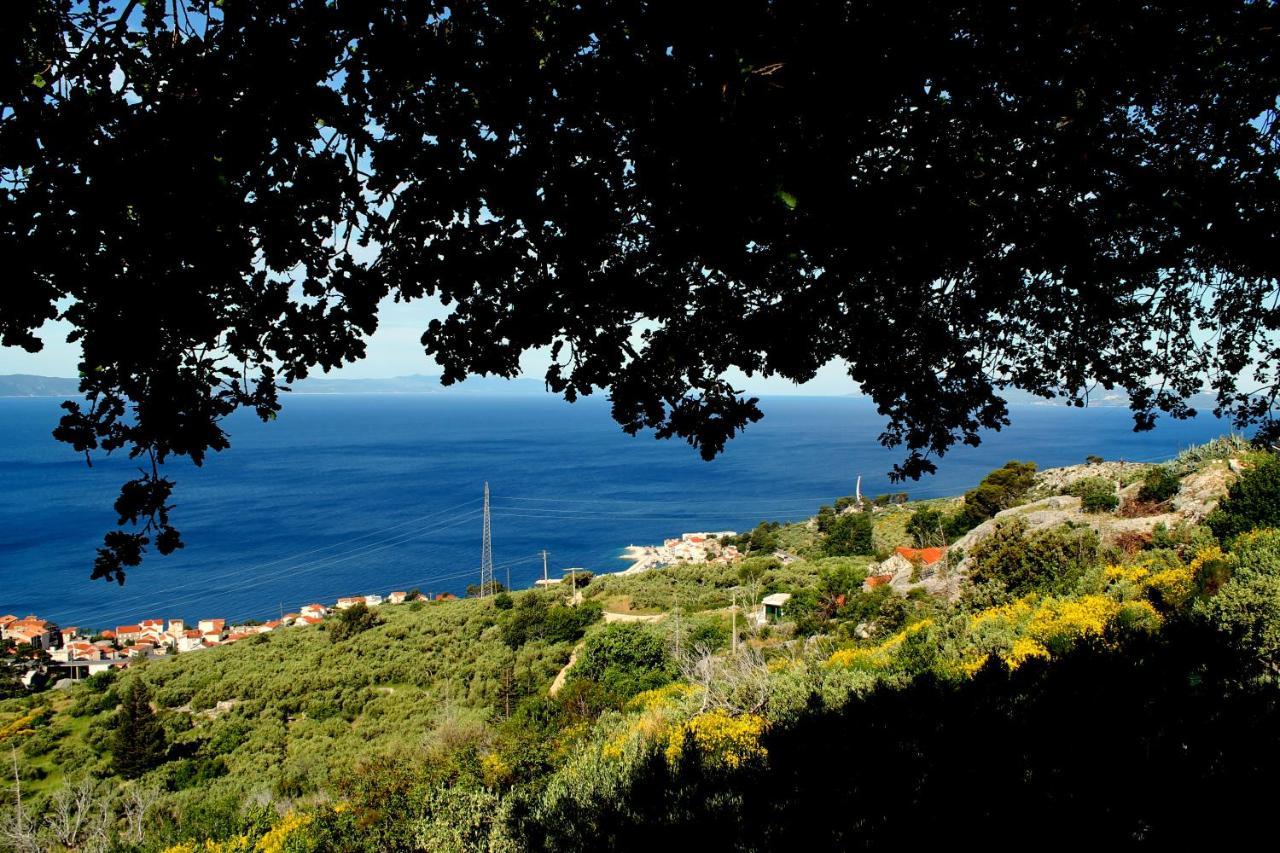 Villa " Davorka" Podgora Εξωτερικό φωτογραφία