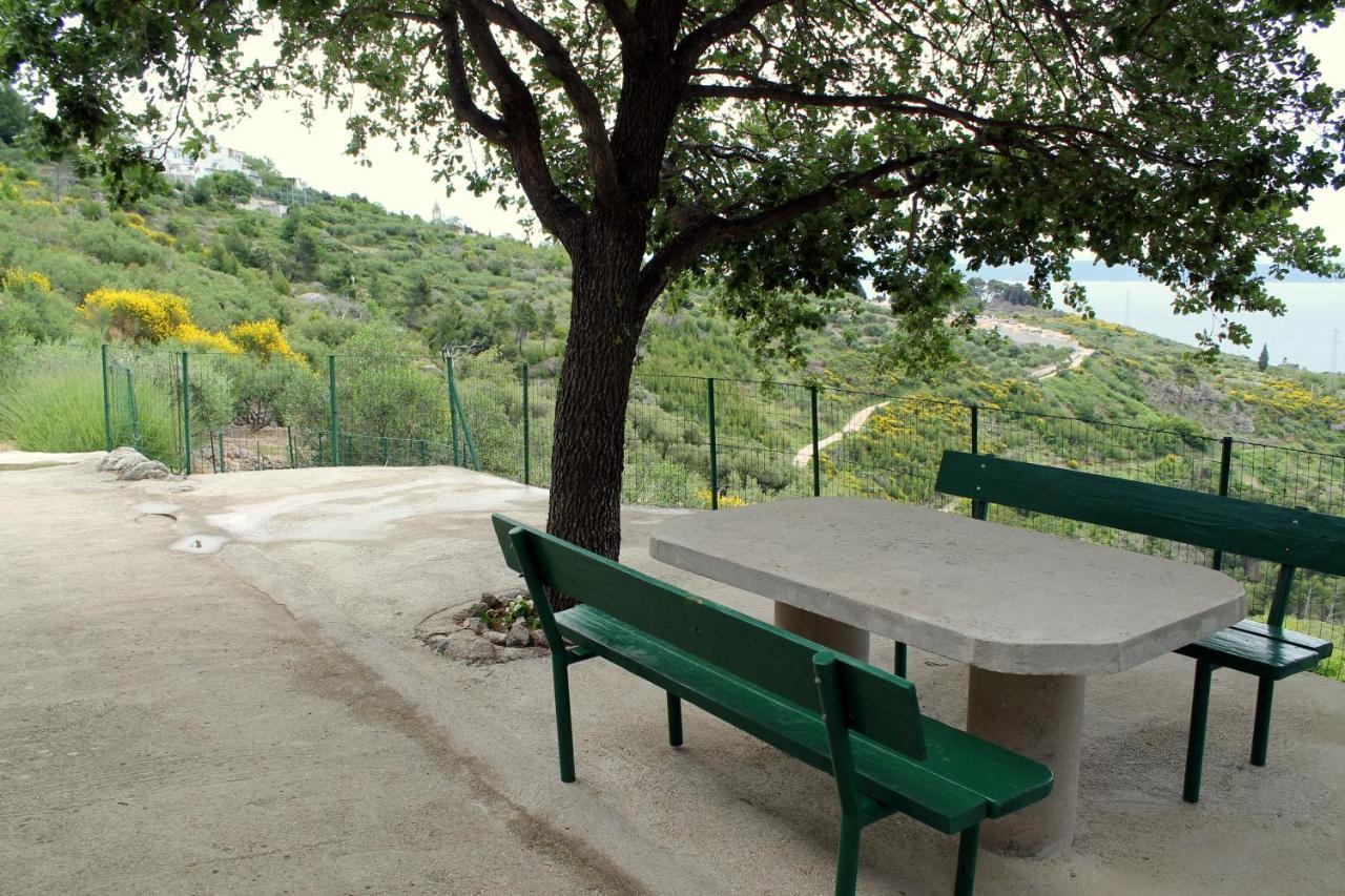 Villa " Davorka" Podgora Εξωτερικό φωτογραφία