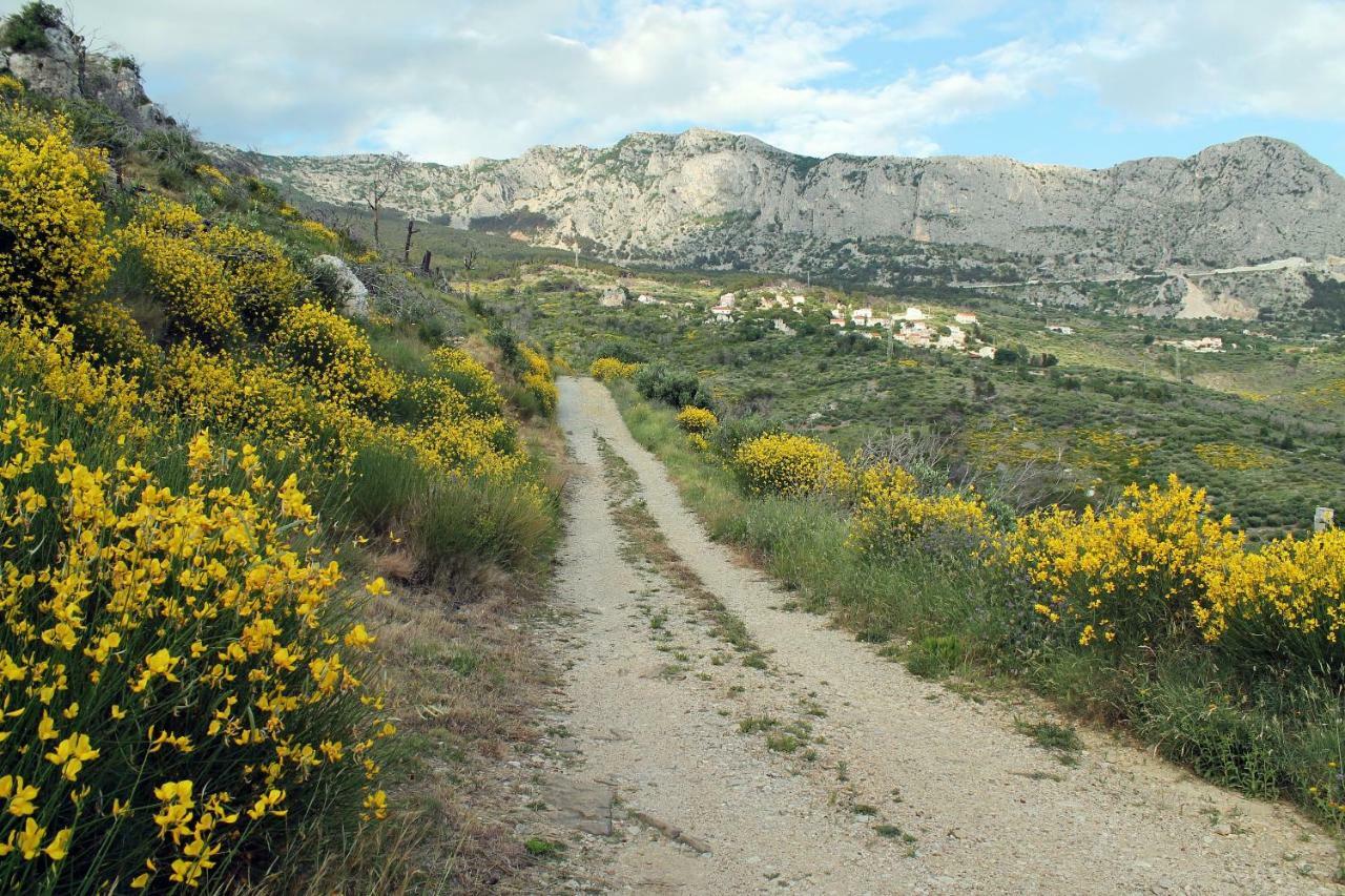 Villa " Davorka" Podgora Εξωτερικό φωτογραφία