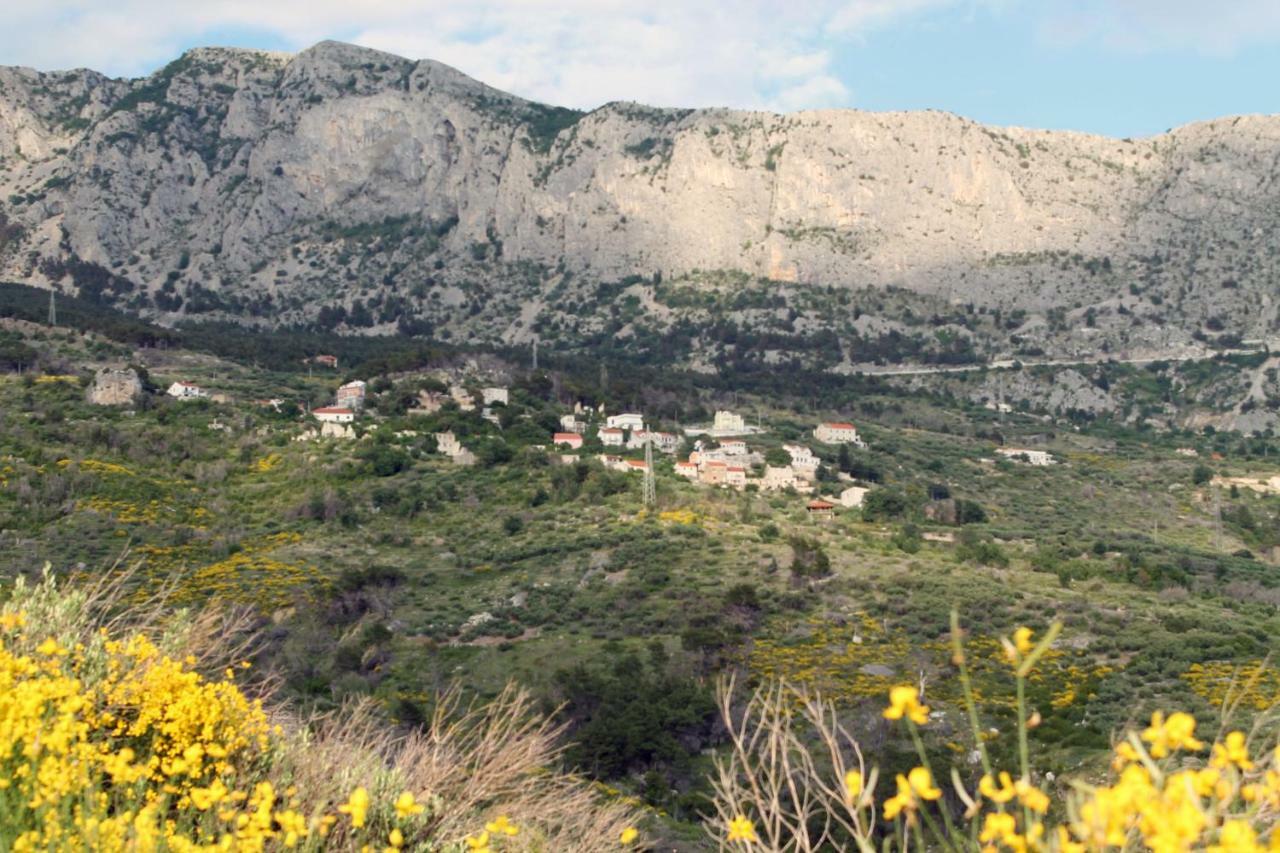 Villa " Davorka" Podgora Εξωτερικό φωτογραφία