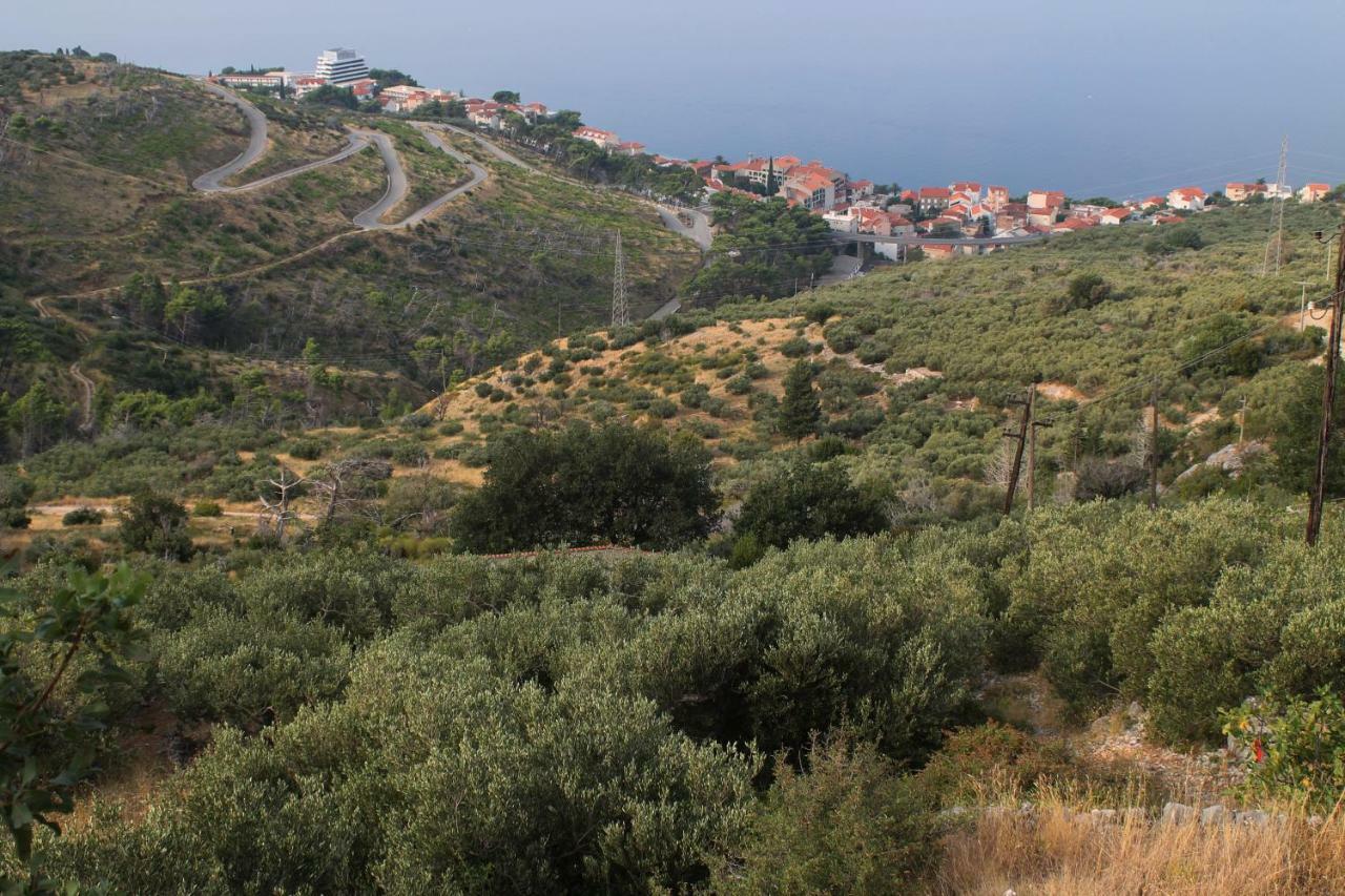 Villa " Davorka" Podgora Εξωτερικό φωτογραφία