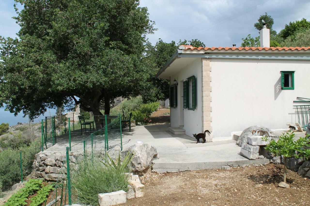 Villa " Davorka" Podgora Εξωτερικό φωτογραφία