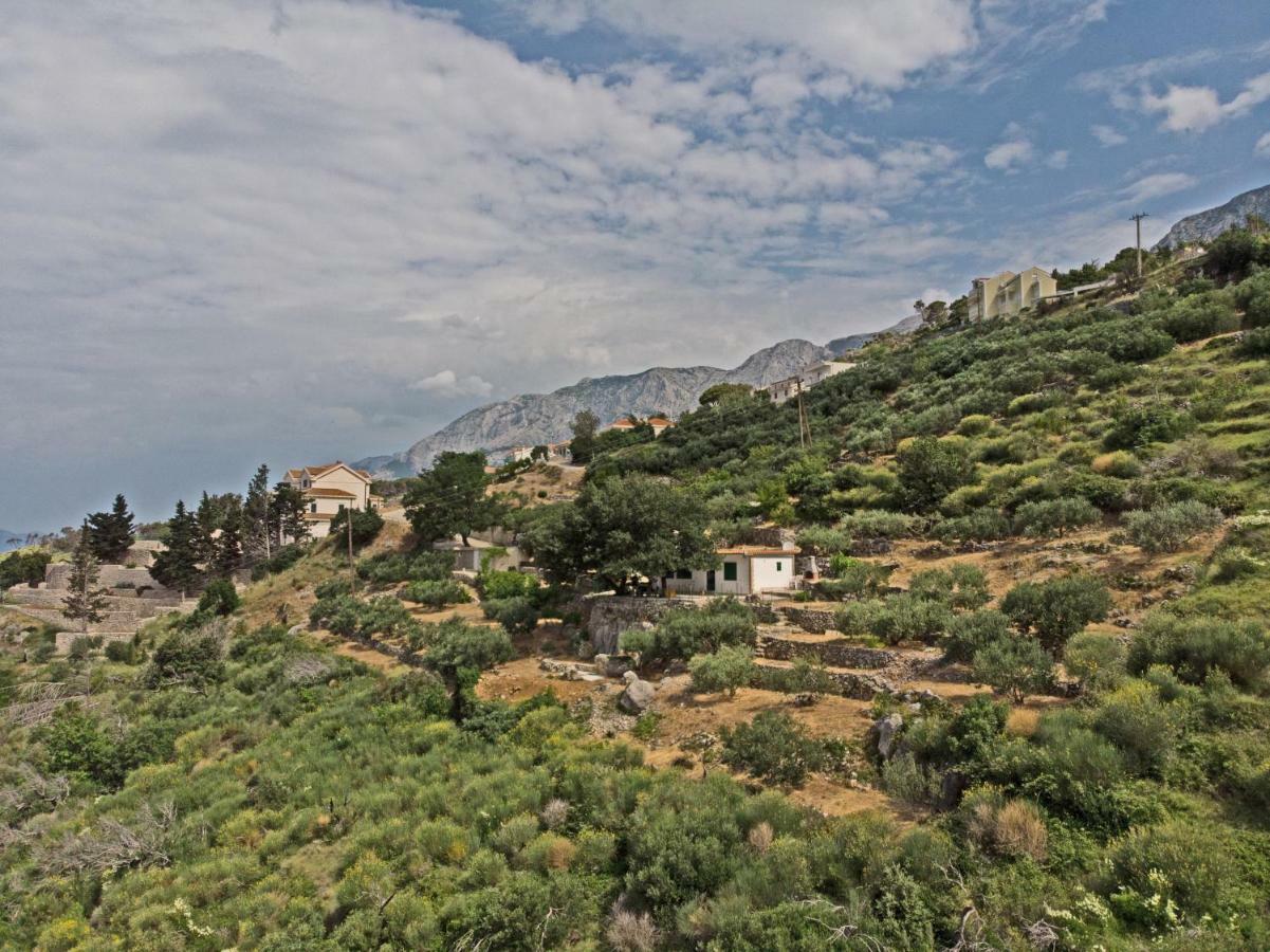 Villa " Davorka" Podgora Εξωτερικό φωτογραφία